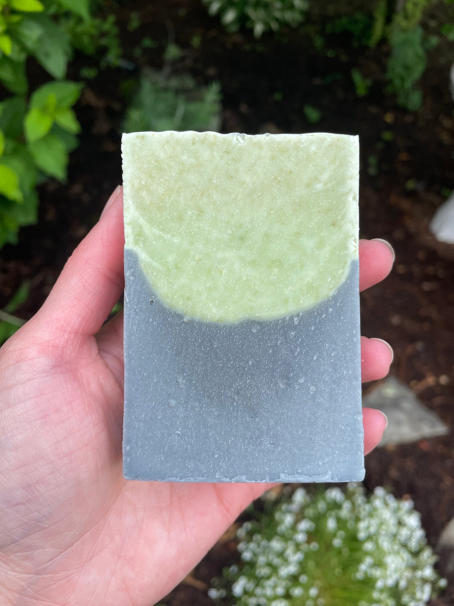 Eucalyptus & Activated Charcoal Bar Soap - 5oz