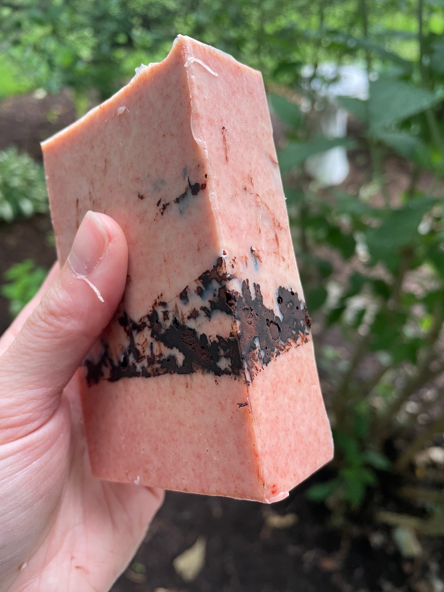 Cedarwood + Madder Root Bar Soap