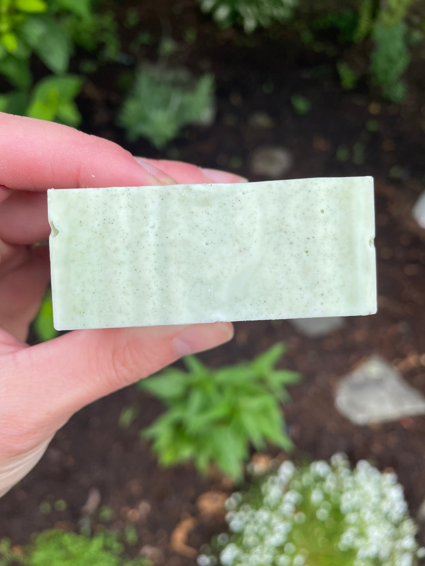 Eucalyptus & Activated Charcoal Bar Soap - 5oz