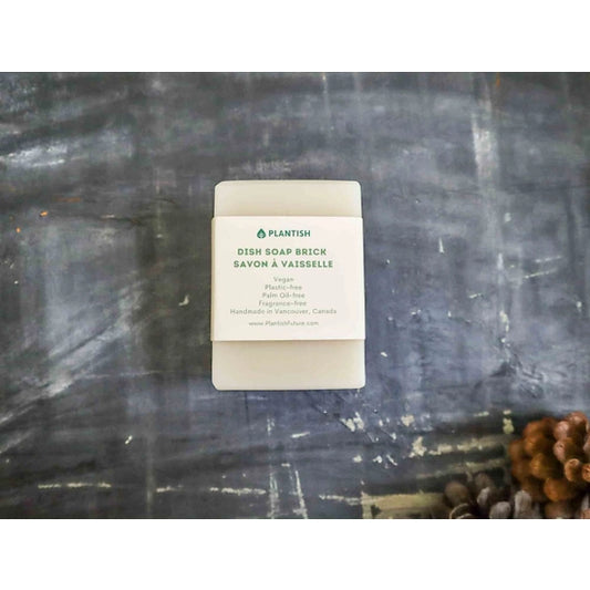 Solid Dish Soap Bar (13 oz)