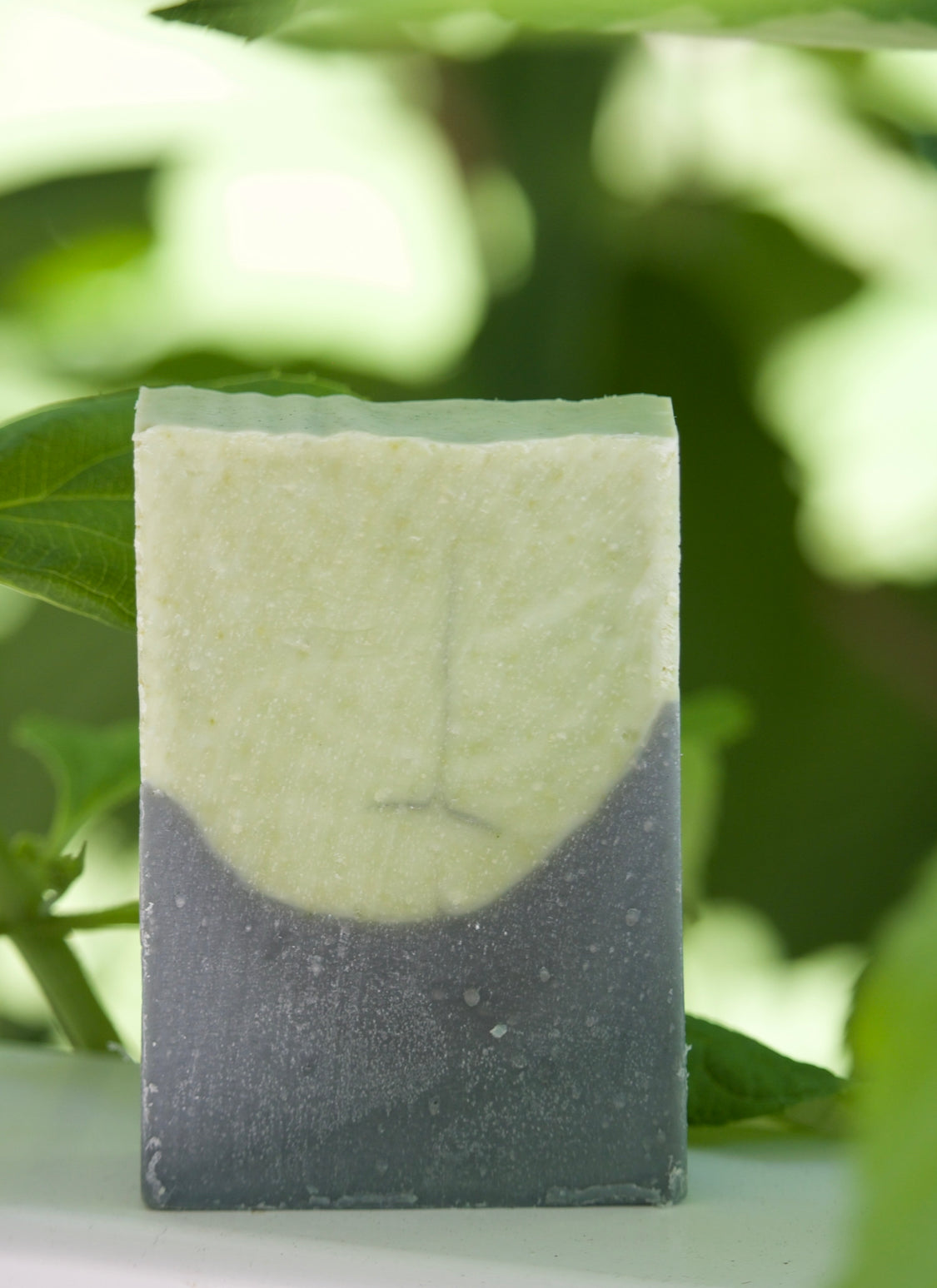 Eucalyptus & Activated Charcoal Bar Soap - 5oz