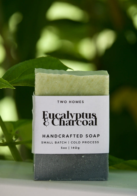 5oz Eucalyptus & Activated Charcoal Bar Soap - 5oz